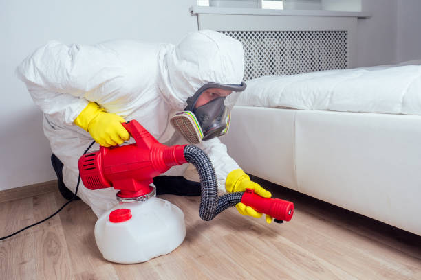 Emergency Pest Control Services in Nashville, AR